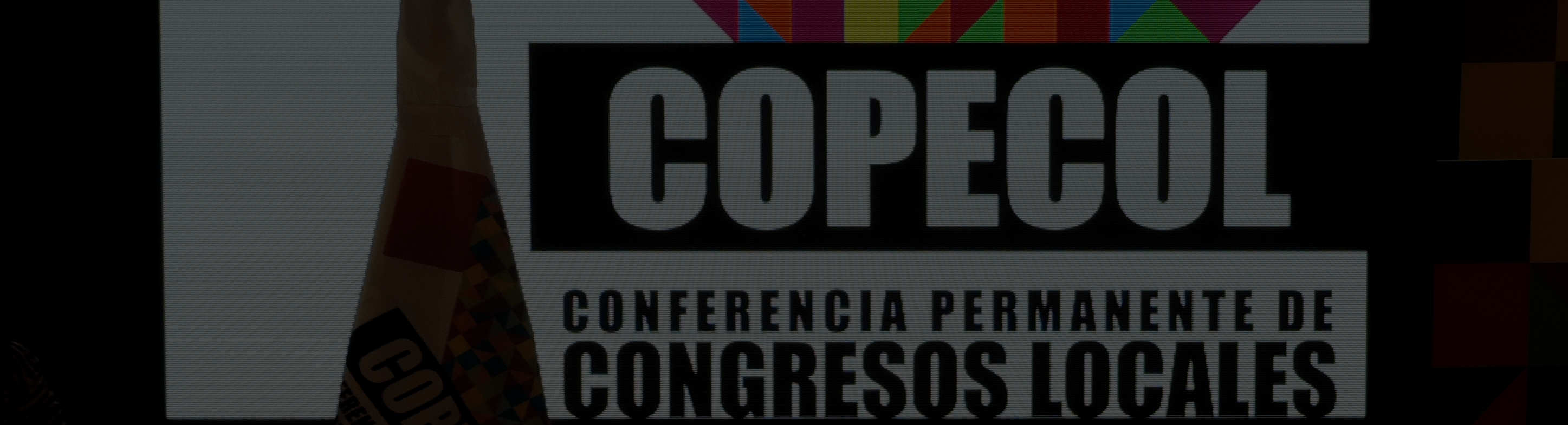 Objetivos de COPECOL